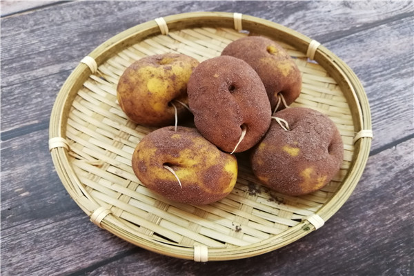 土豆包
